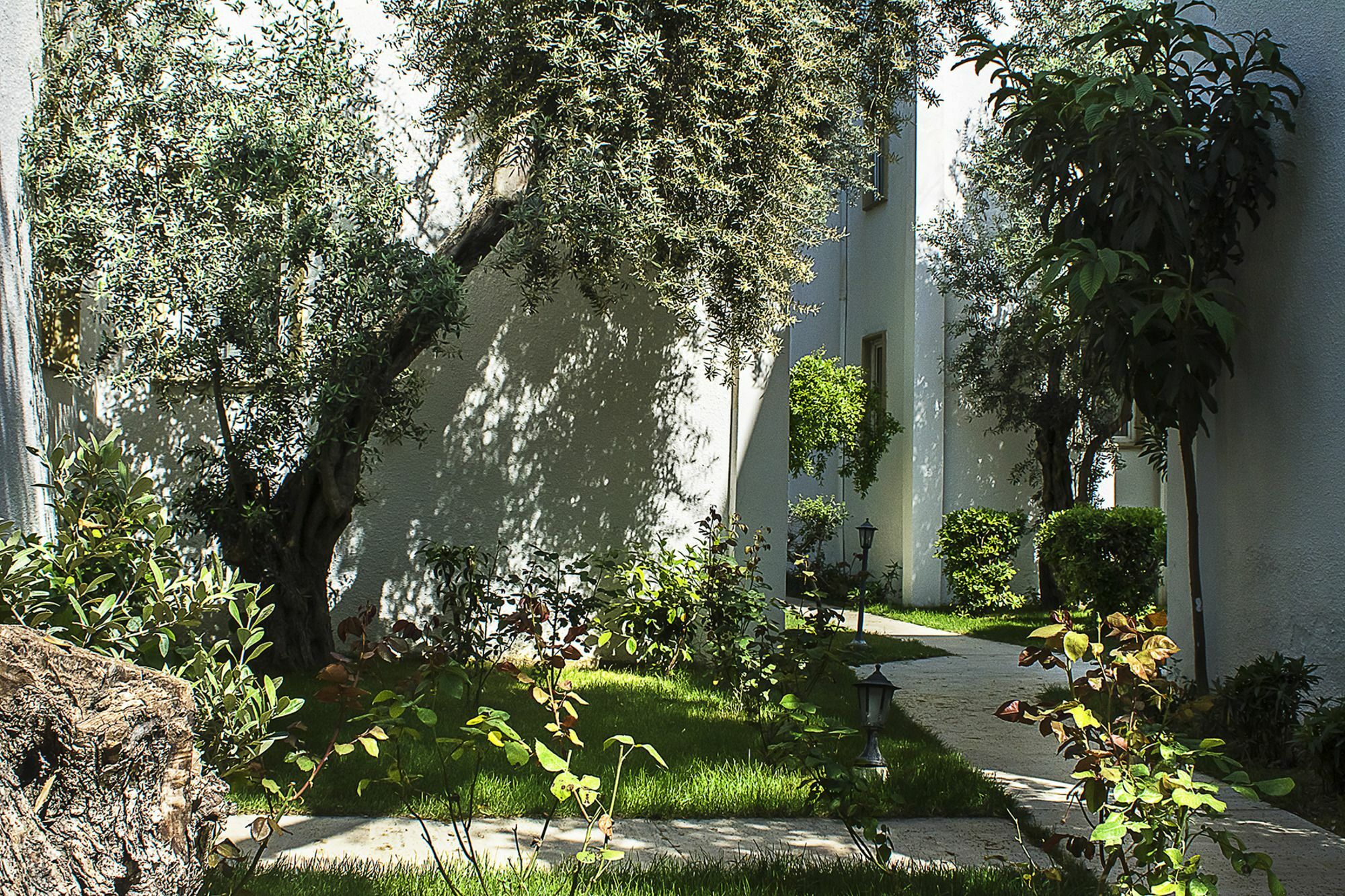 Hotel Princess Diltua Bodrum Exterior photo